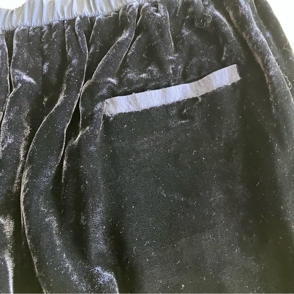 EUC Eileen Fisher blue velvet pants - Picture 7 of 12